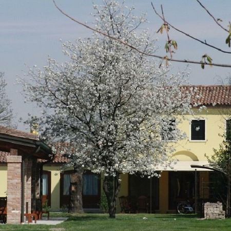 Particolari Del Brenta Apartment Oriago Di Mira Exterior foto