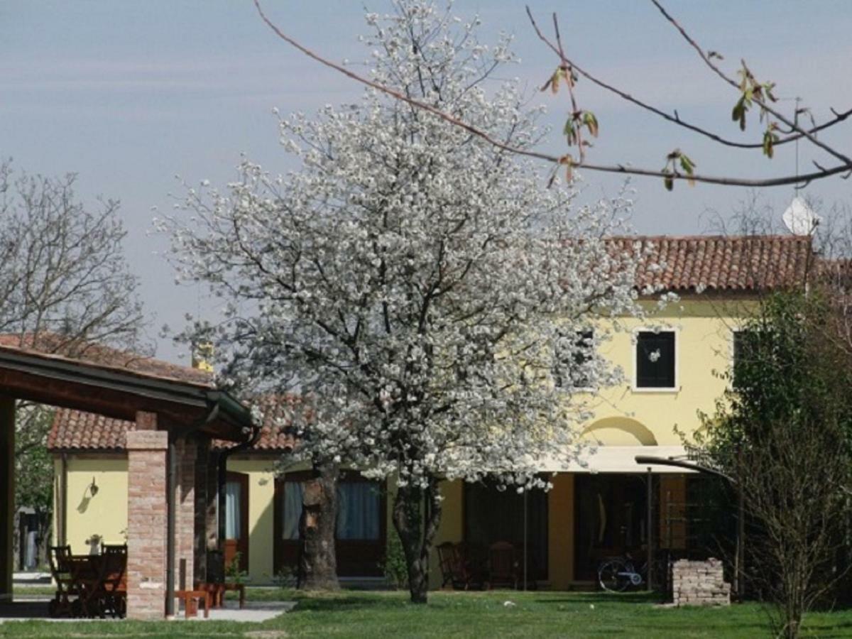 Particolari Del Brenta Apartment Oriago Di Mira Exterior foto